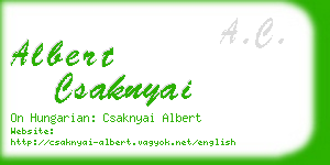 albert csaknyai business card